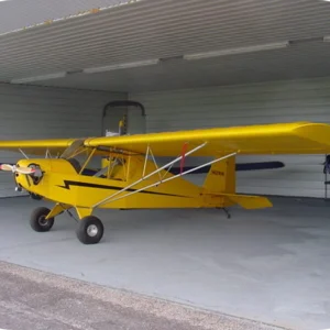 hipp's superbirds j 3 kitten