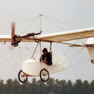 weedhopper gypsy chotia gypsy